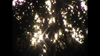 When We ALL SEE, this WILL Stop.