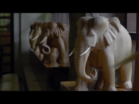 Visit Grand Udawalawe Safari Resort and witness it yourself!