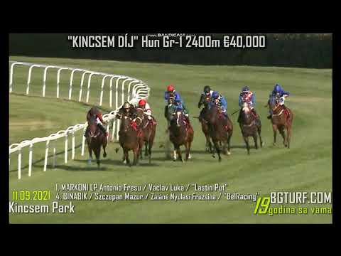 KINCSEM DIJ 2021 / MARKONI LP