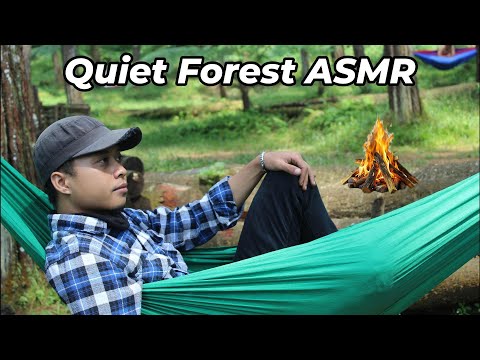 Quiet Forest ASMR | Hammock Setup, River Water & Cooking Eggs | Pure Nature Sounds