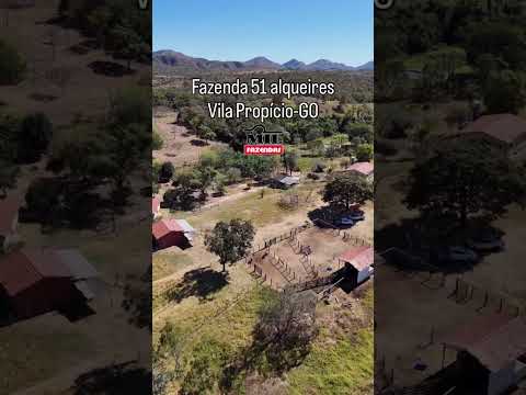 Fazenda 51 alqueires ( 247 ha ) Vila Propicio a 220 km de Goiânia #fazendaavenda #fazenda #agro