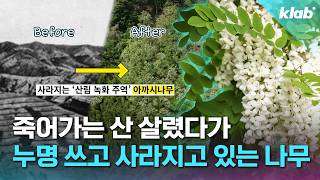 한국의 아낌없이 주는 나무 실사판ㄷㄷ｜크랩