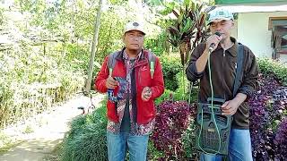 Download lagu sow keliling di perkebunan goalpara lagu sholawat dangdut alhijirotu mp3