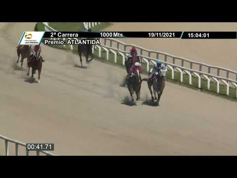 211119 c02 - MISS SONG - HIPODROMO LAS PIEDRAS