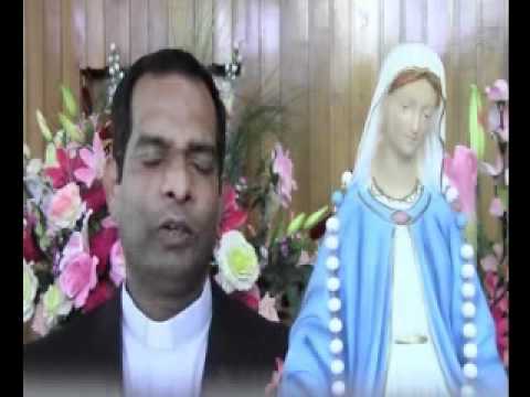 07 - 10 - 2011   Our Lady of the Rosary