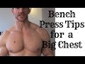 Build Your Chest Now, Bench Press, Best Chest Exercise for Beginner to Advanced
