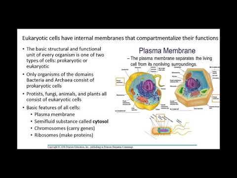 BIO 101 Chapter 6 part 1
