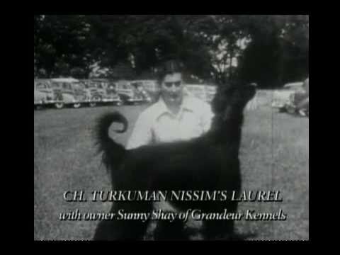 Juliette of the Herbs DVD - Clip 4 Herbalist and natural healer