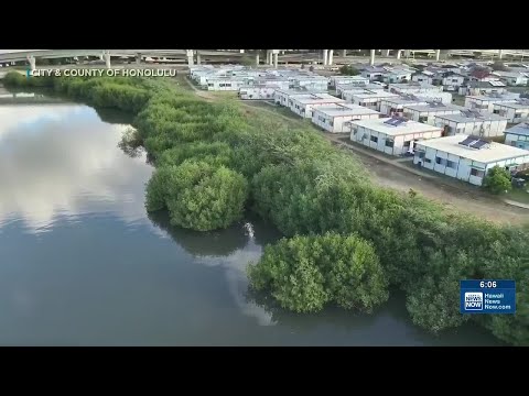 Sustained effort needed to remove camp with huge homeless structure