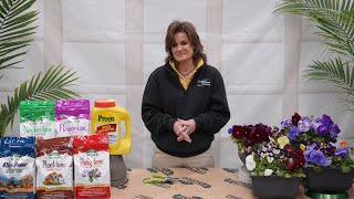 Tips Every Gardener Should Know ENGLISH GARDENS