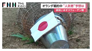 スウェーデン戦の行方をアルマジロが予想　オランダ戦の引き分け予想の“実績”も　テキサス州・ダラス動物園　FIFAワールドカップ2026（2026年06月25日）