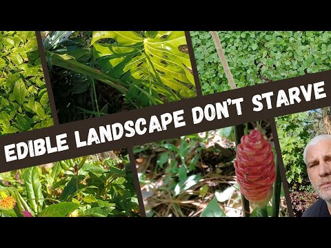 They Told Me Not To Share These 9 Edible Landscape Plants!
