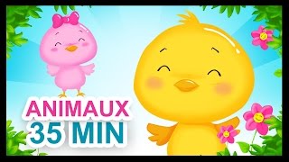 À la volette - 35 de comptines sur les animaux pour les enfants - Titounis