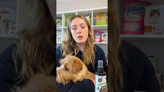 Here’s our review of the Bugalugs deodorising spray! 🧴🫧 #bugalugs #bugalugspetcare #dogproducts