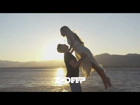 Z-DEEP  -  Beelive    #deephouse #beelive #music #organhouse #newmusic #housemusic #shorts #love