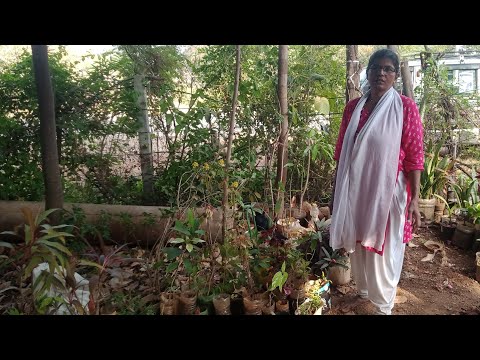 Mera Garden tour 🙏