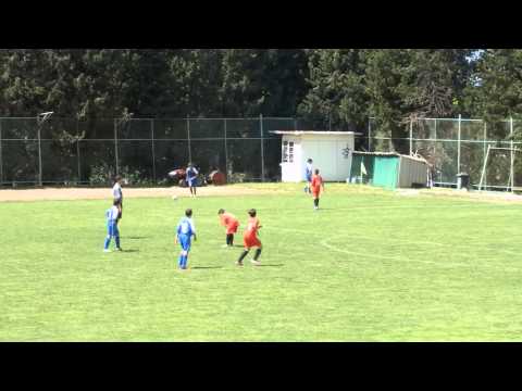 NAŠI TIĆI 65 - DALMATINAC