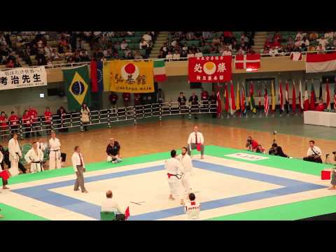 2014 Funakoshi Gichin Cup 13th Karate World Championship Tournament 2