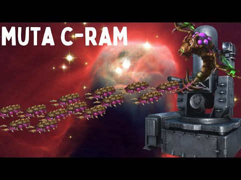 DOLLAR STORE MUTAS SLAUGHTER EVERYTHING - STREAM HIGHLIGHTS Weekly Brawl [Starcraft 2 Direct Strike]