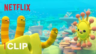 Corey Meets the Coral Reef! 🦀 Octonauts &amp; the Great Barrier Reef | Netflix Jr