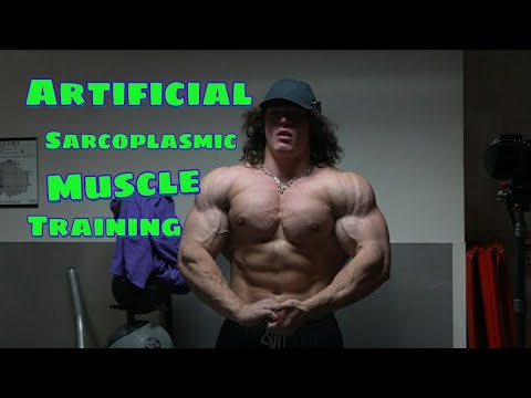 Sam Sulek: Winter Bulk Day 32 ~ Sarcoplasmic Artificial muscle training 😂