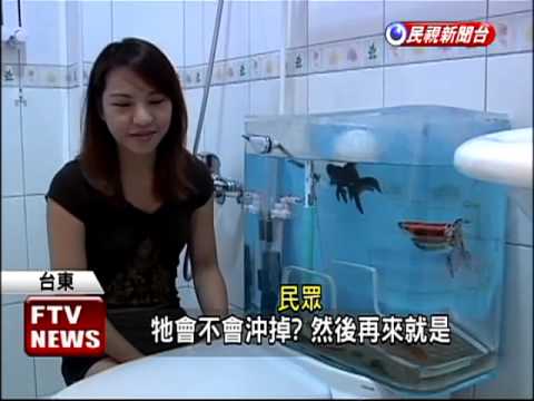 環保 養魚法 唔使換水