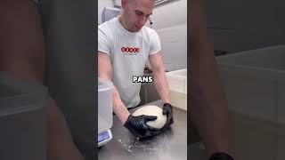 Mini Pizza Fold Idea 🍕 #shorts #businessideas #sidehustle