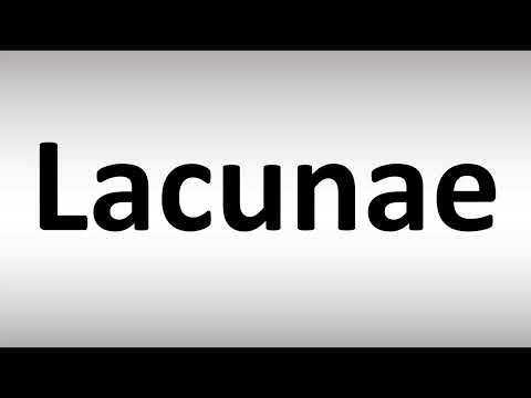How to Pronounce Lacunae