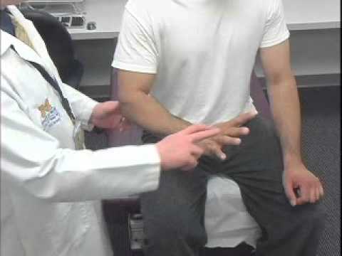 Complete Musculoskeletal Exam of the Elbow