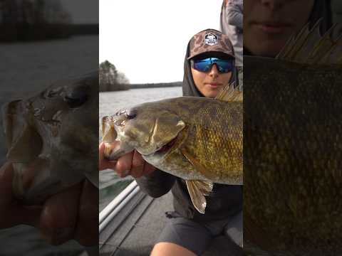 Largemouth OR Smallmouth Bass?!
