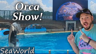 What to Expect When Things Don't Go as Expected! SeaWorld Orlando's Orca Encounter: