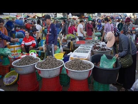Second Site Distribute Fish, Dry Fish, Seafood - Phnom Penh Fish Market Scene in The Morning