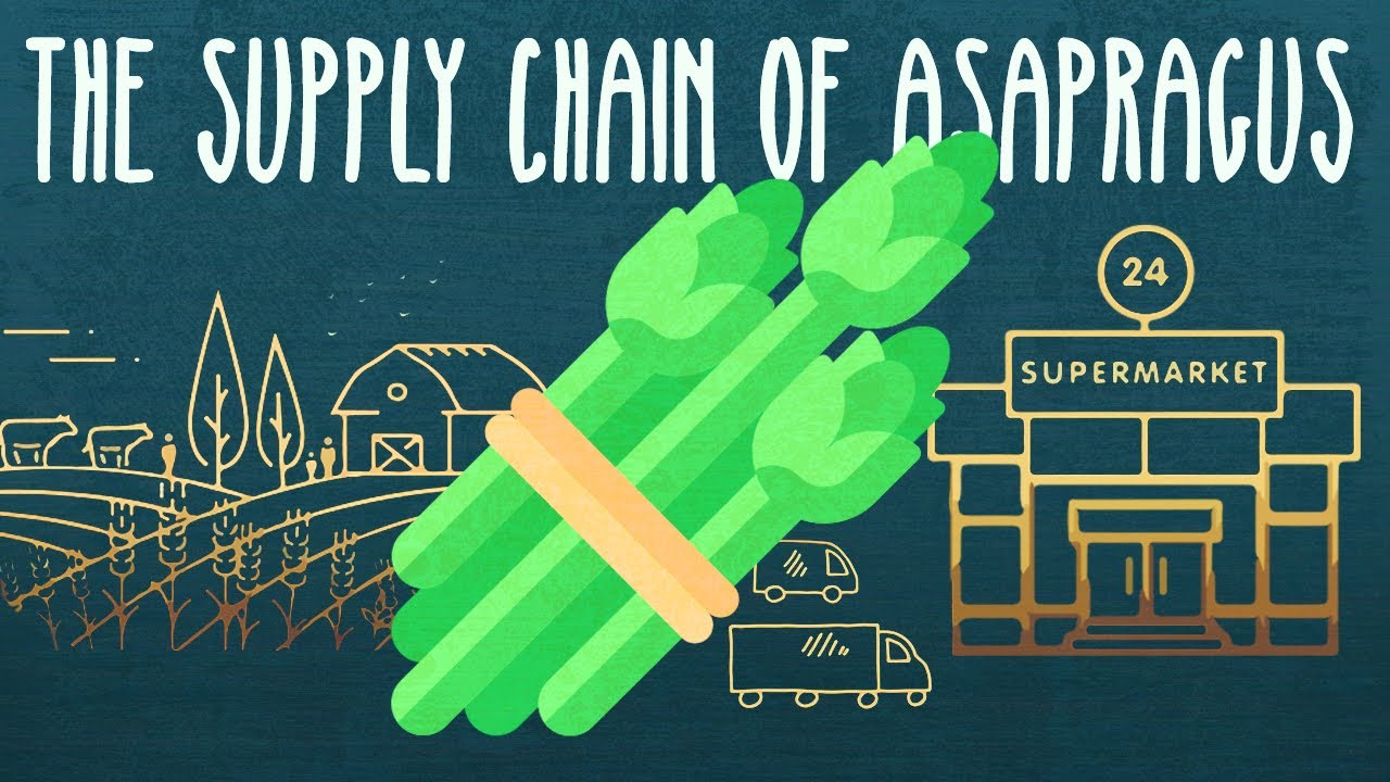 The Epic Journey of Food | Process Explained Simply | Food Supply Chain