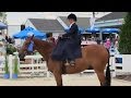 120th Devon Horse Show Country Fair
