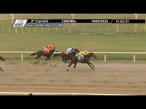 SINT - COLONIA 230519 -  c02 1° NUEVA QUEEN