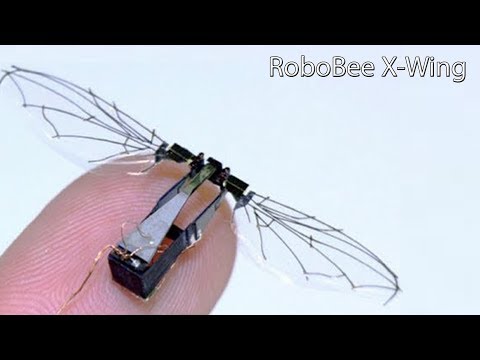 RoboBee X-Wing Tiny Flying Insect Robot, 4 Wings & Weighs Under A Gram & Fly Using Its Own Power.