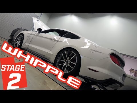 Whipple Stage 2 Dyno S550 2015 - 17 Mustang GT at Brenspeed