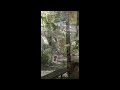 More Andy and Waldo on the lanai