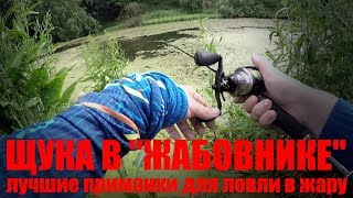 Ловля щуки на комбинированные приманки снасти