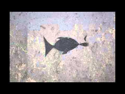 Allukala-  Gangstafunkin Dunkki