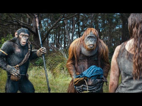 The Rise of the Apes: Evolution, Intelligence, and Conquest