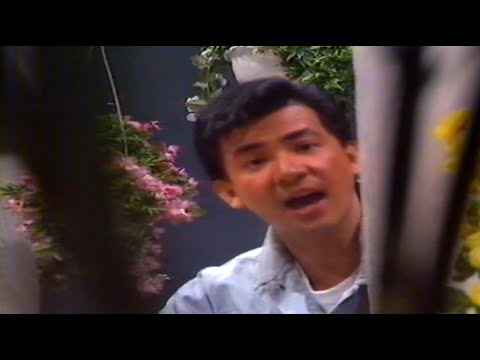 Richie Ricardo - 100% Aku Cinta Kamu (1987) Original Video