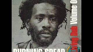 Burning Spear In Those Days Dub.wmv
