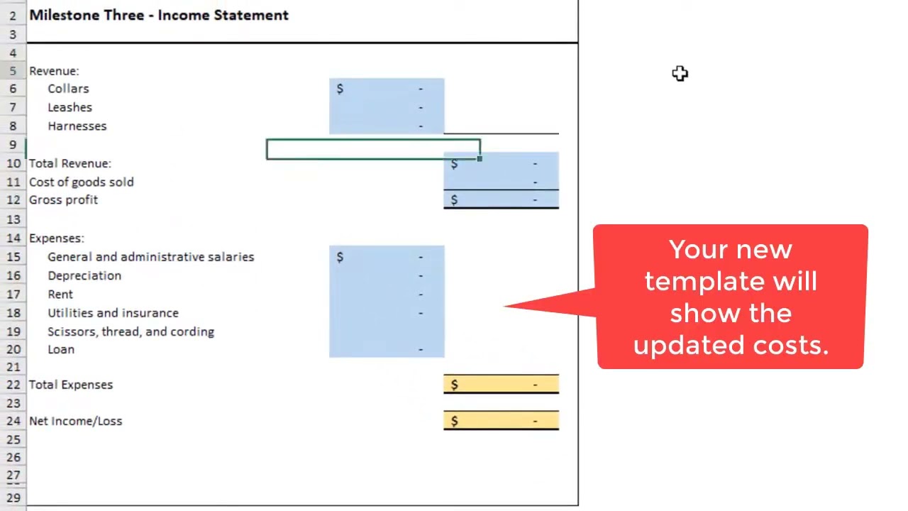 ACC202 Project Income Statement update