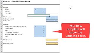 ACC202 Project Income Statement update