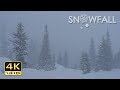 4K Snowfall - Peaceful Snowing - Snow Falling - Relaxing Winter Video - Ultra HD - 2160p