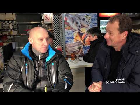 Kako se kreću cene ribe na pijaci?