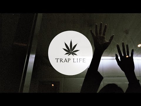 ZERIUS - FALLING FOREVER