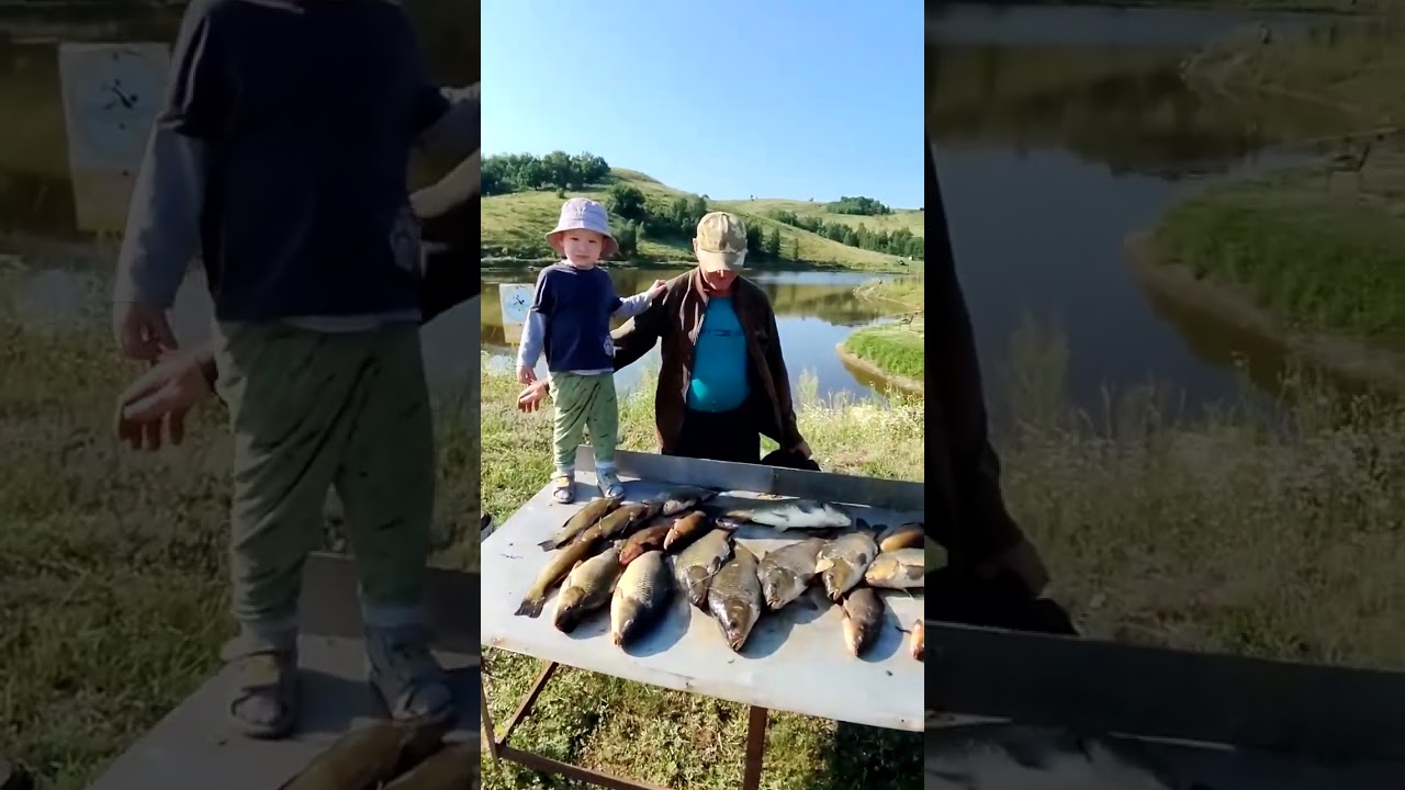 top fish my