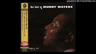 Muddy Waters - Look What You&#39;ve Done